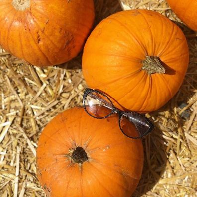 Photo of Lafont Paris eyeglasses and pumpkins.