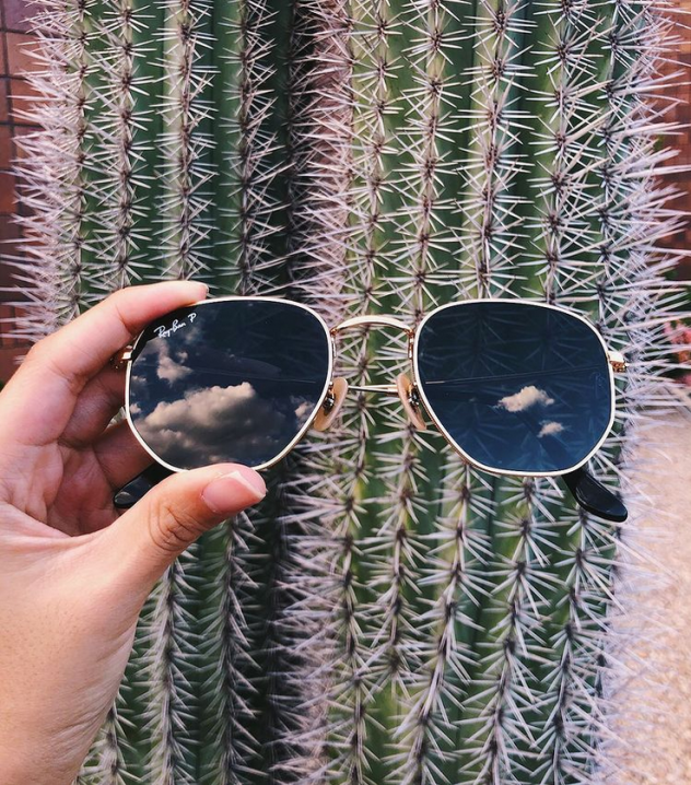 Hand holding a Rayban Sunglasses in front of a cactus
