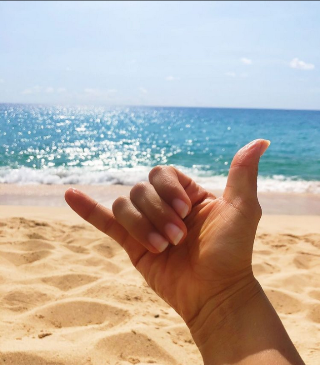 Picture of a beach and shaka. 